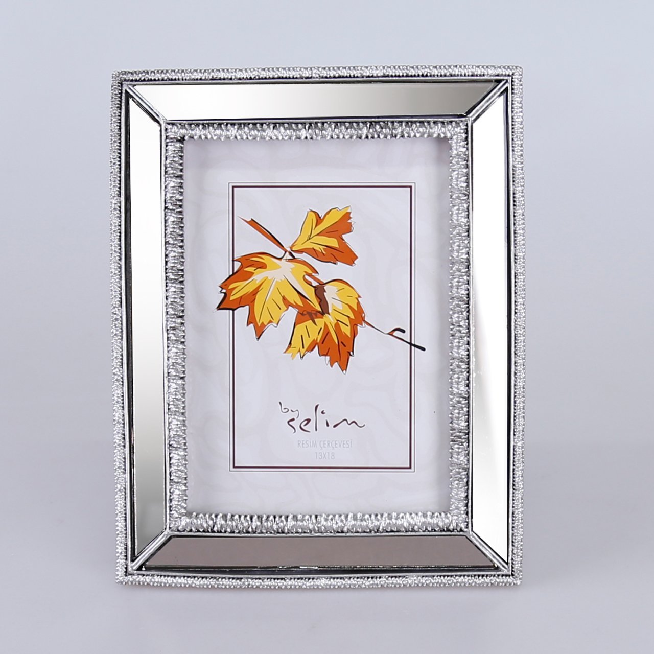 13x18 Elsira Aynalı Çerçeve Gümüş