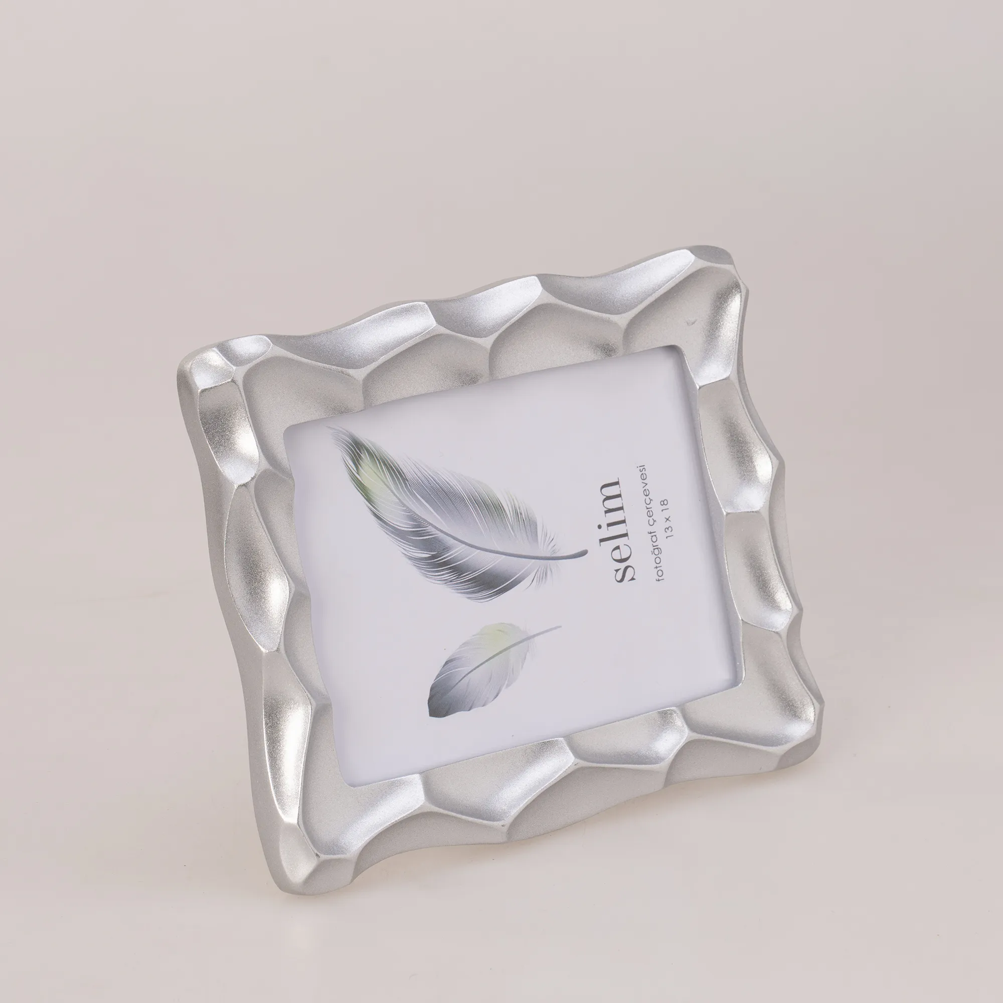 Silver Frame 15x20 Telles