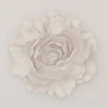 Lotus Dekoratif Çiçek İnci