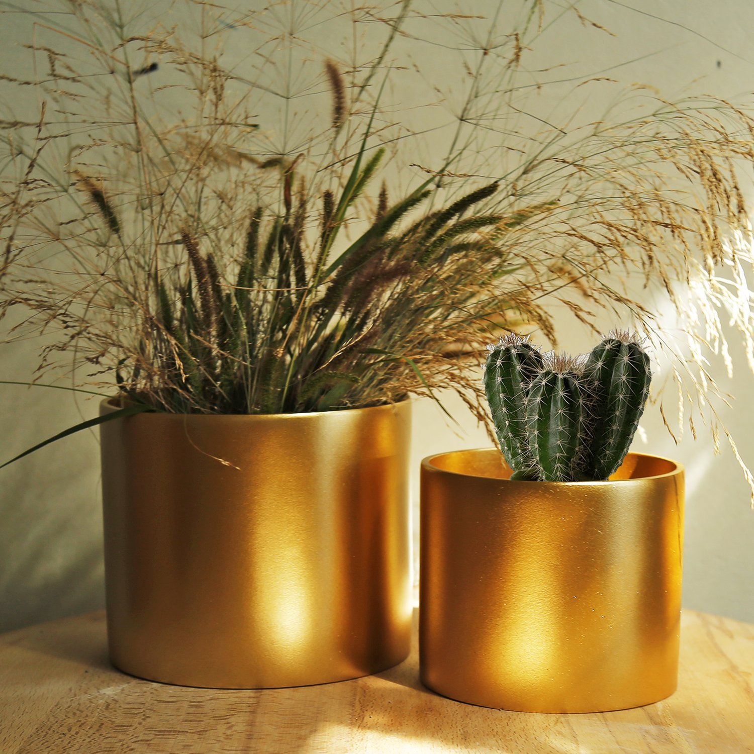 İnfinity Büyük Saksı Altın