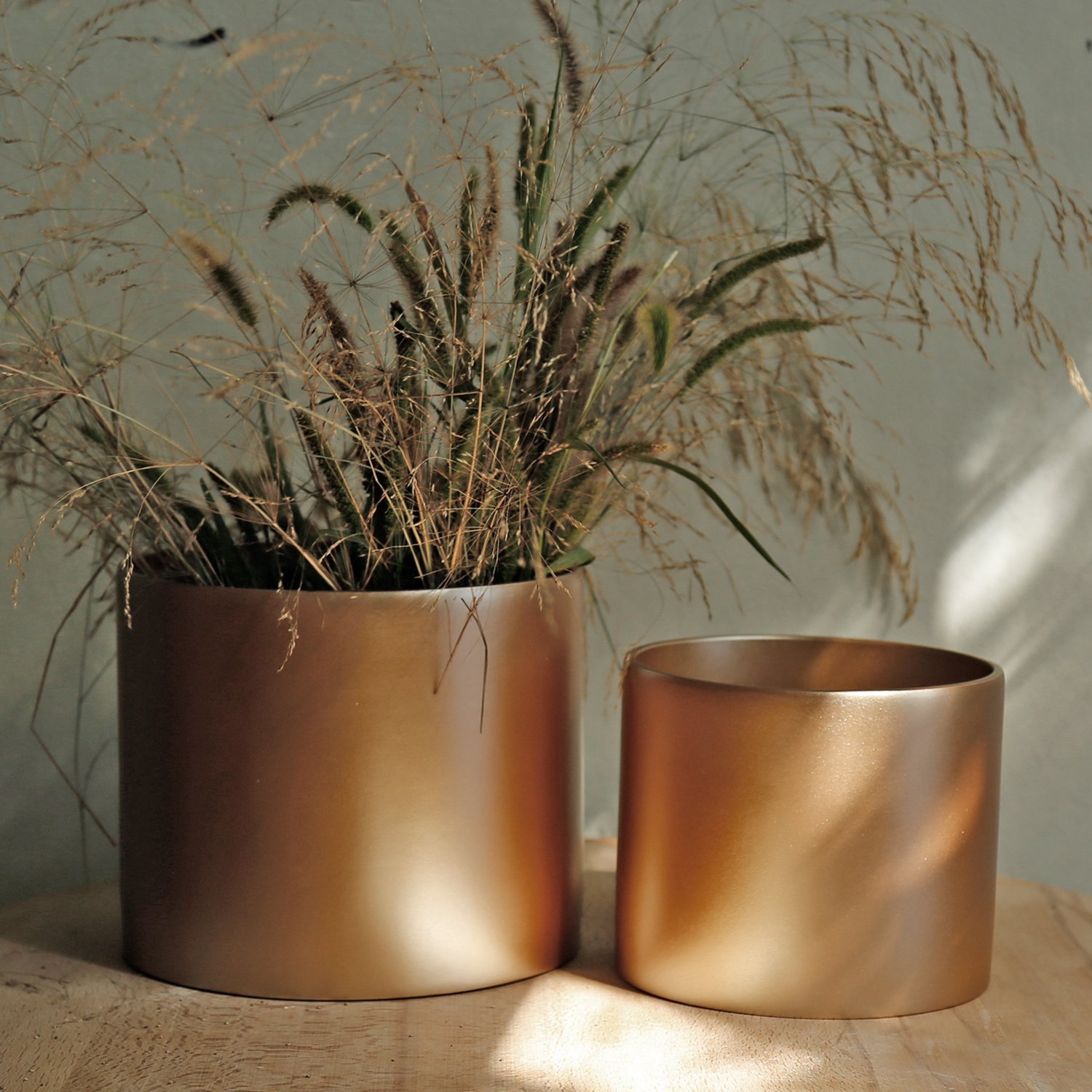 İnfinity Küçük Saksı Vizon