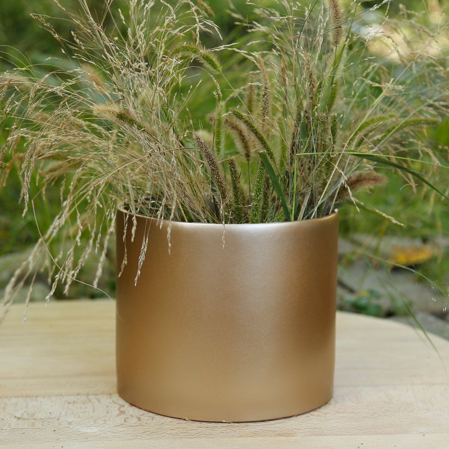 İnfinity Büyük Saksı Vizon