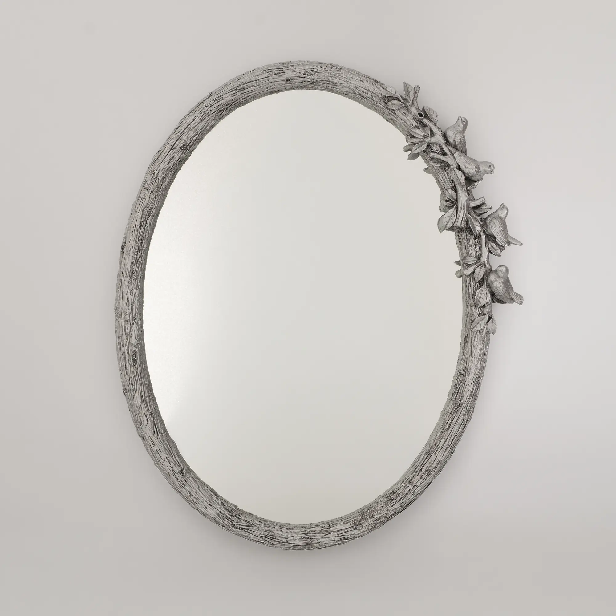 Silver Bird dachte Spiegel