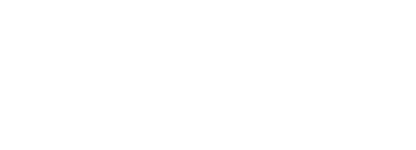 Selim Lindy Katı Sabunluk Altın